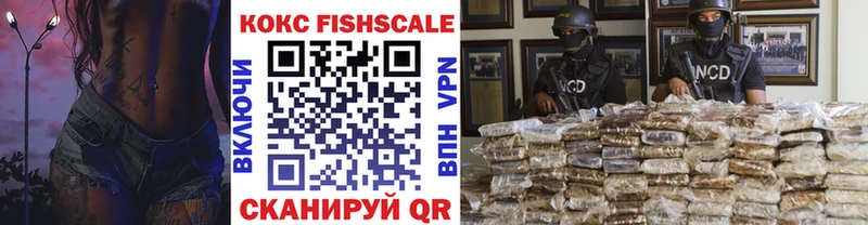 Cocaine FishScale  купить   Камешково 