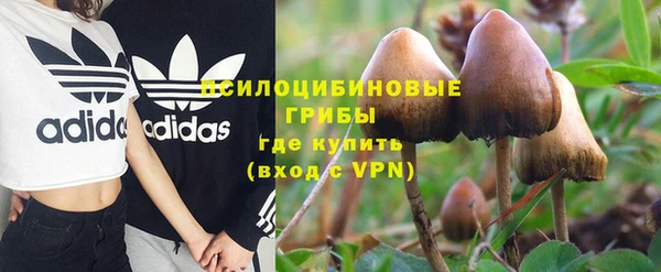 ECSTASY Алексеевка
